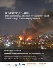 Preventing Disaster cover