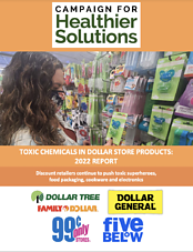 Toxic Chemicals in Dollar Store Products