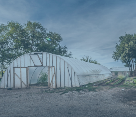 Local Food Solutions